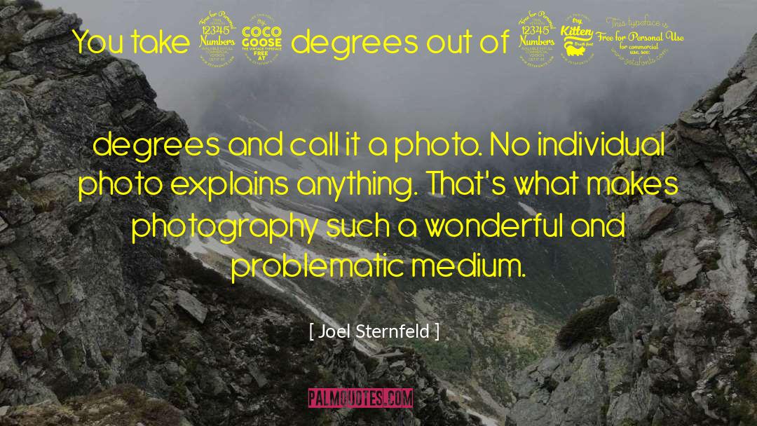 360 Degrees quotes by Joel Sternfeld