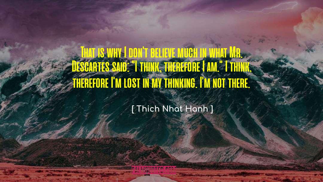 3d Thinking quotes by Thich Nhat Hanh