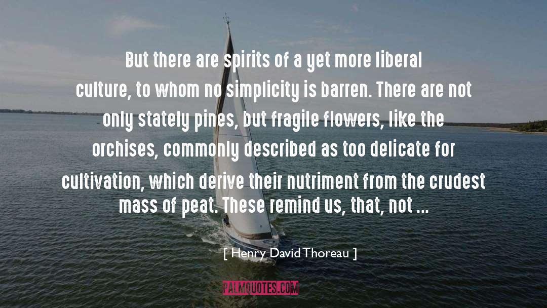 4 Peat quotes by Henry David Thoreau