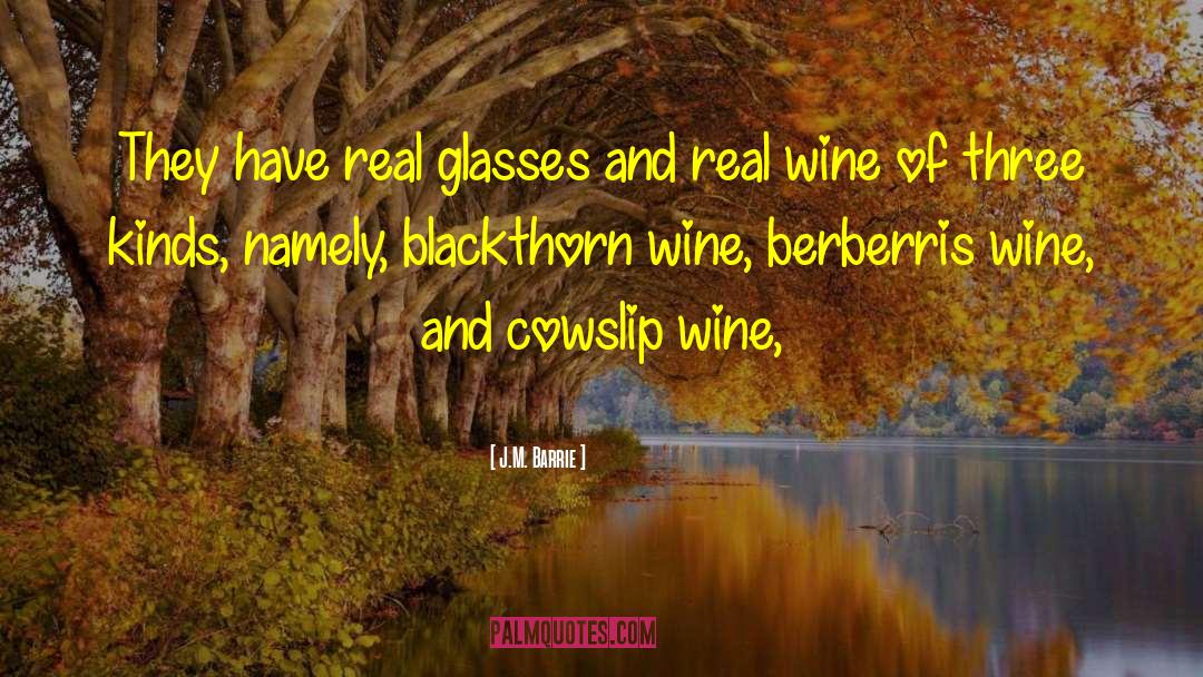 40th Birthday Wine quotes by J.M. Barrie