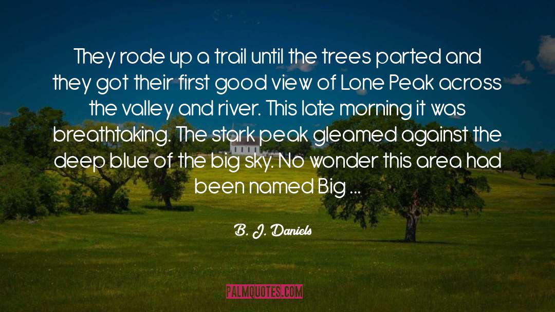 429 Area quotes by B. J. Daniels
