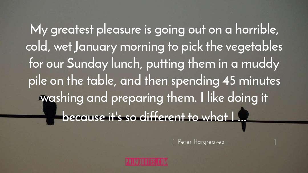 45 quotes by Peter Hargreaves