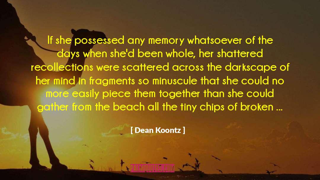 45rpm Beach quotes by Dean Koontz