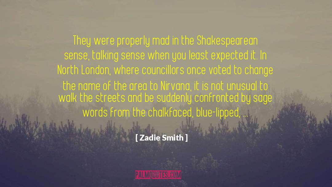 476 Area quotes by Zadie Smith