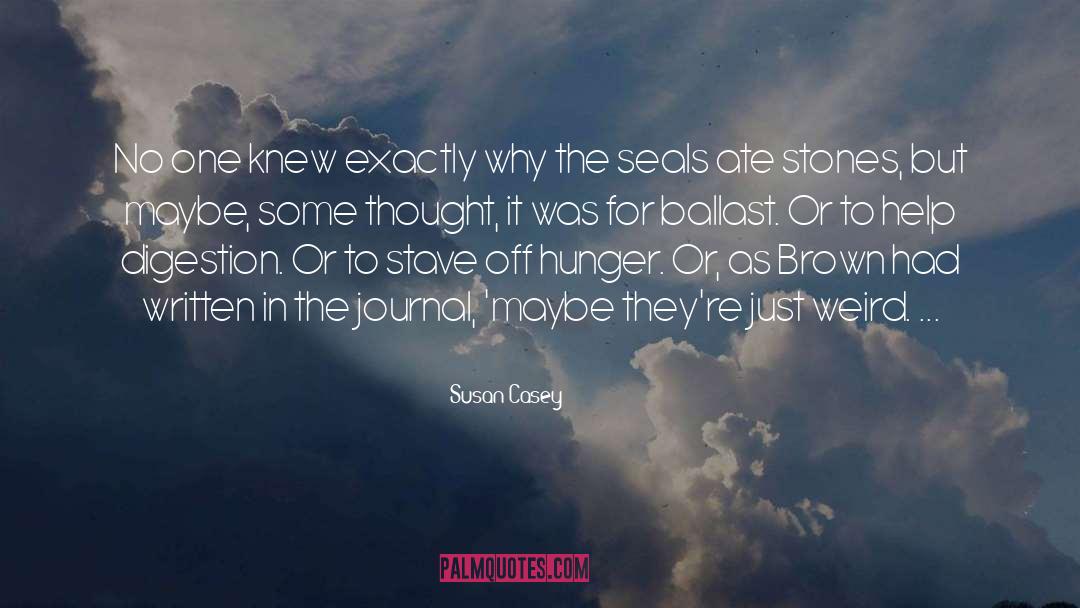 5 Min Journal quotes by Susan Casey