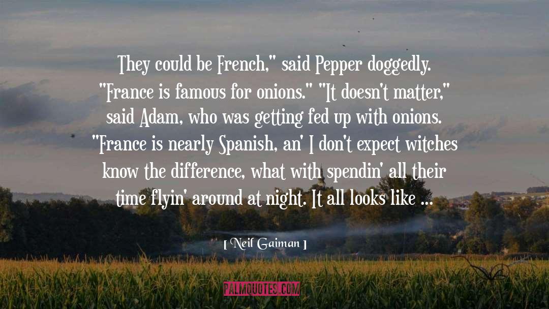 50 Famous French quotes by Neil Gaiman