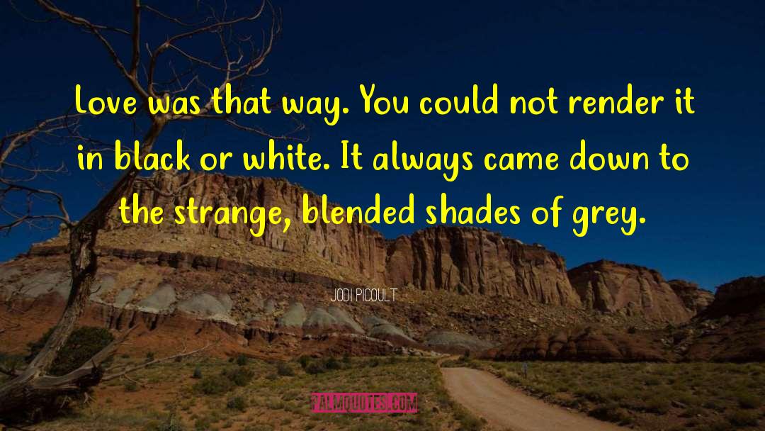 50 Shade Of Grey quotes by Jodi Picoult