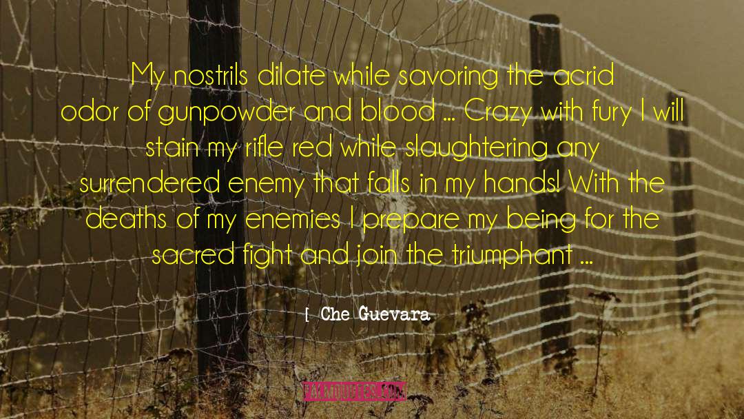 556 Rifle quotes by Che Guevara