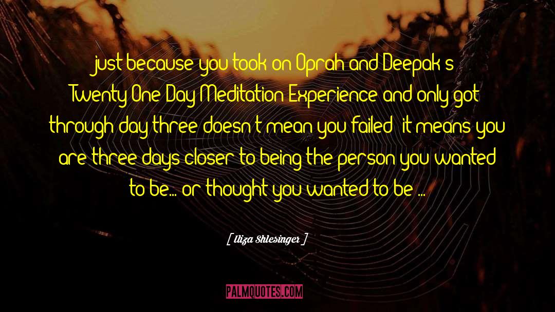 7 Days quotes by Iliza Shlesinger