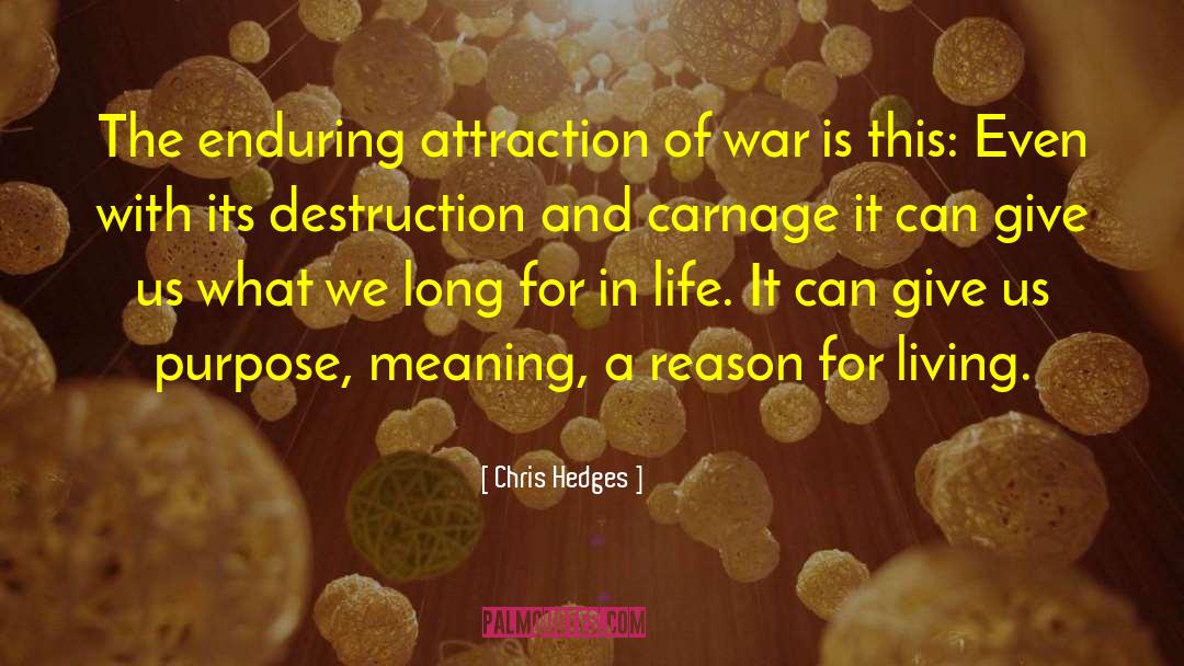 70ad Destruction quotes by Chris Hedges