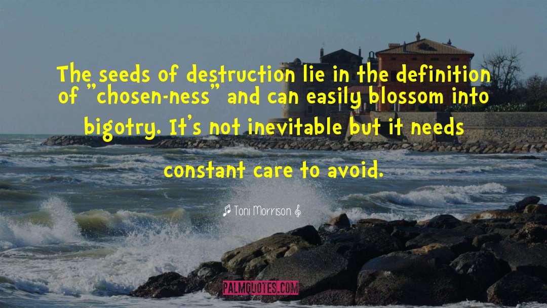 70ad Destruction quotes by Toni Morrison