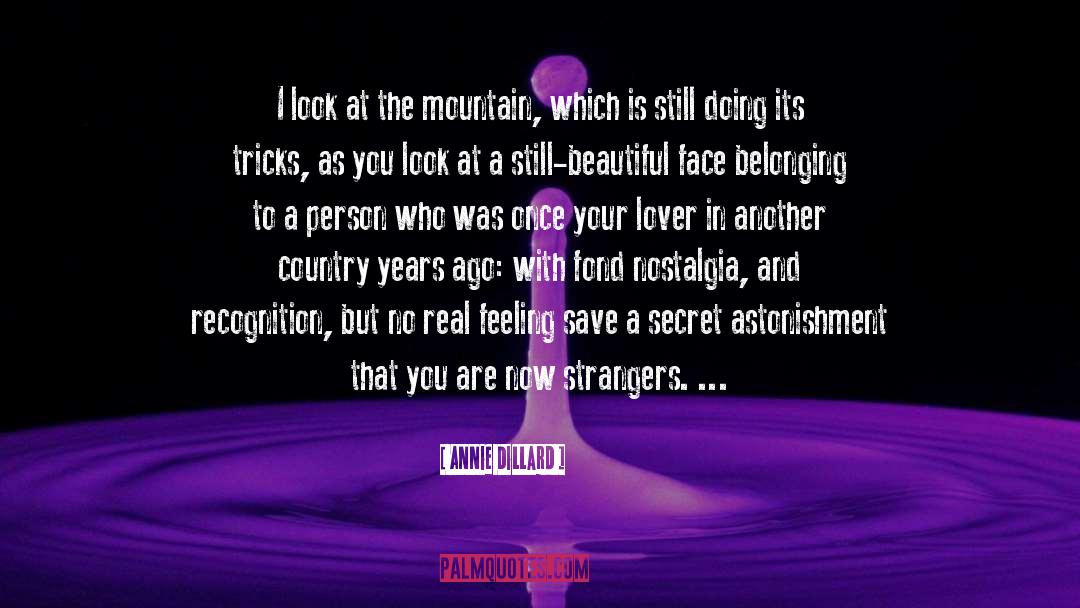 80s Nostalgia quotes by Annie Dillard