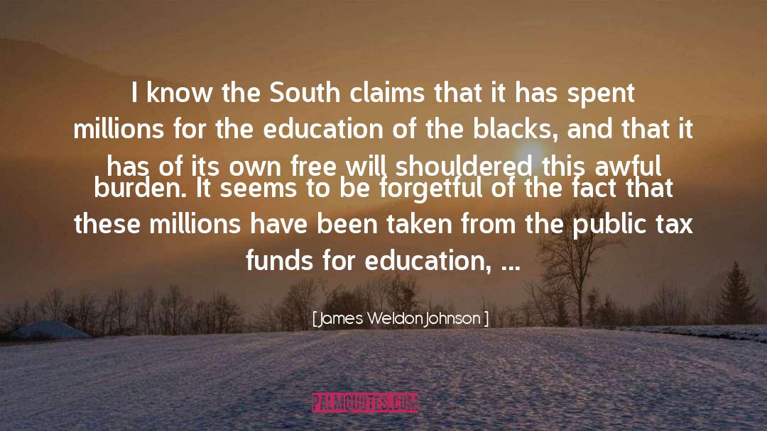 9 Financial quotes by James Weldon Johnson