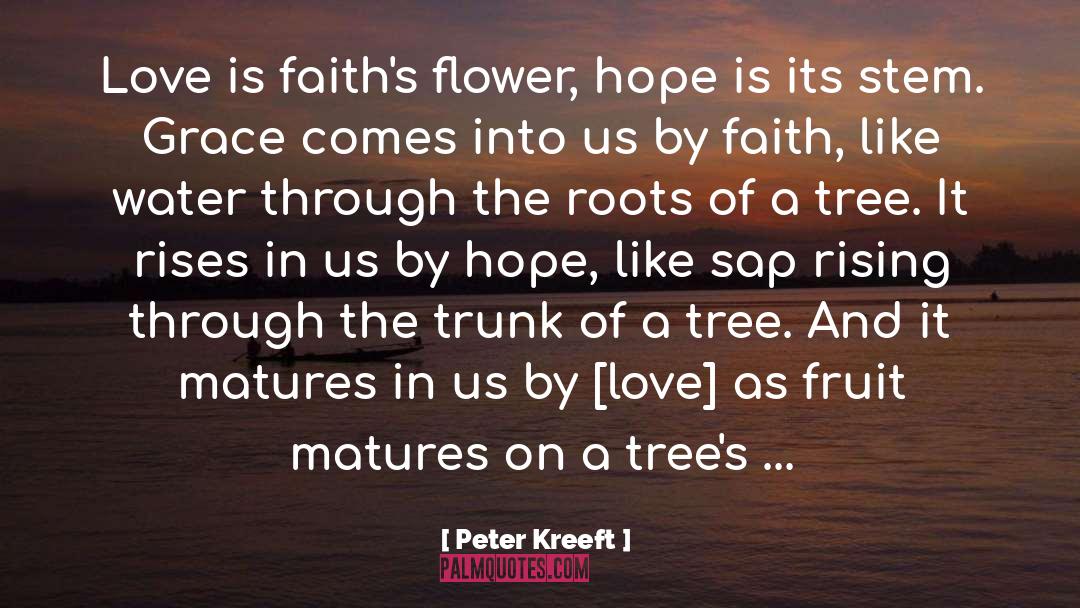 A Baby Is A Flower Of Hope quotes by Peter Kreeft