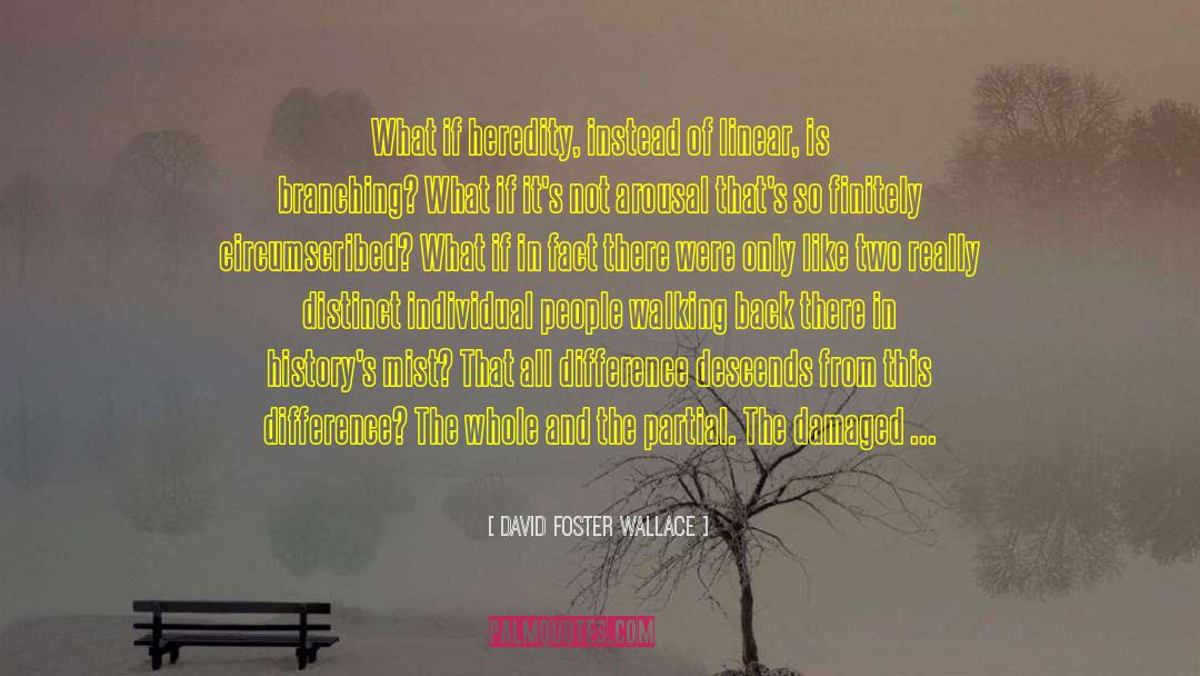 A Beautiful Dark quotes by David Foster Wallace