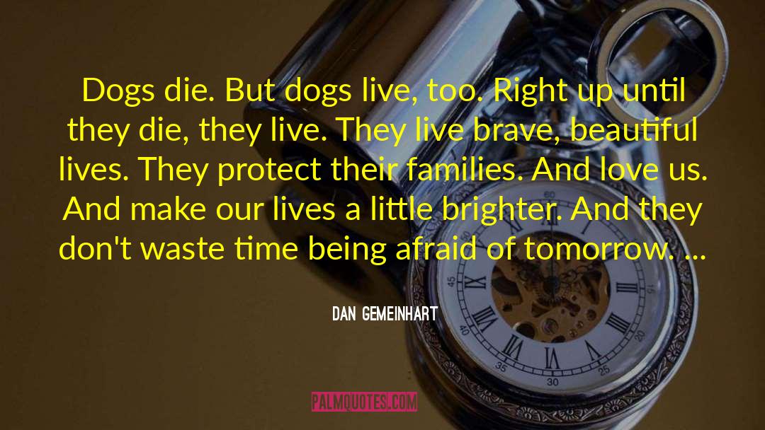 A Beautiful Dark quotes by Dan Gemeinhart