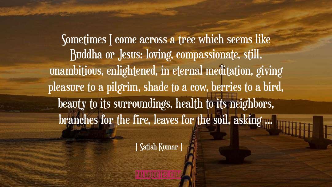 A Beautiful Evil quotes by Satish Kumar