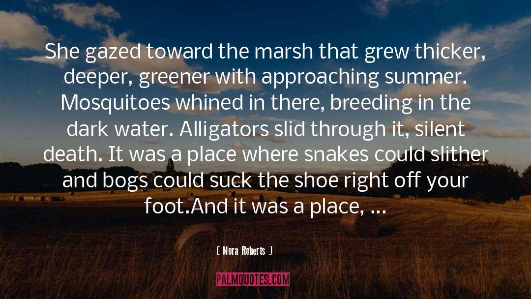 A Beautiful Evil quotes by Nora Roberts
