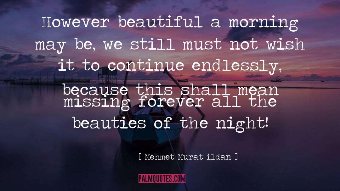 A Beautiful Lie quotes by Mehmet Murat Ildan