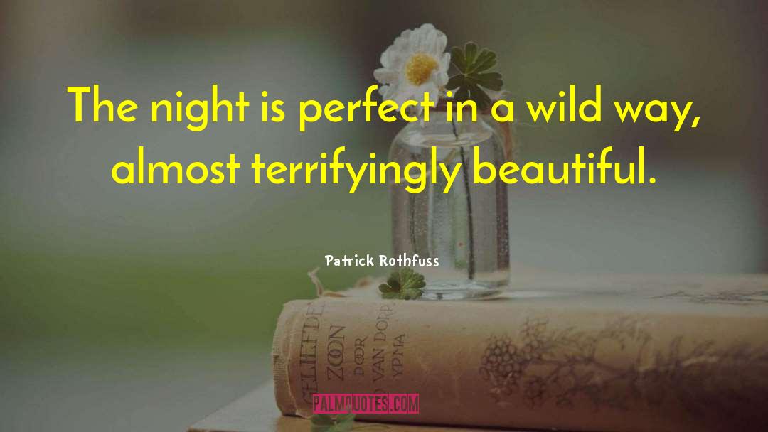 A Beautiful Life quotes by Patrick Rothfuss