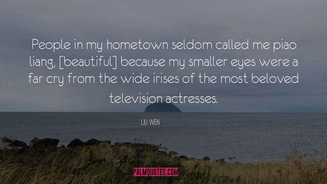 A Beautiful Life quotes by Liu Wen