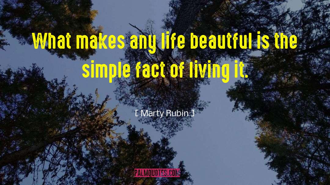 A Beautiful Life quotes by Marty Rubin