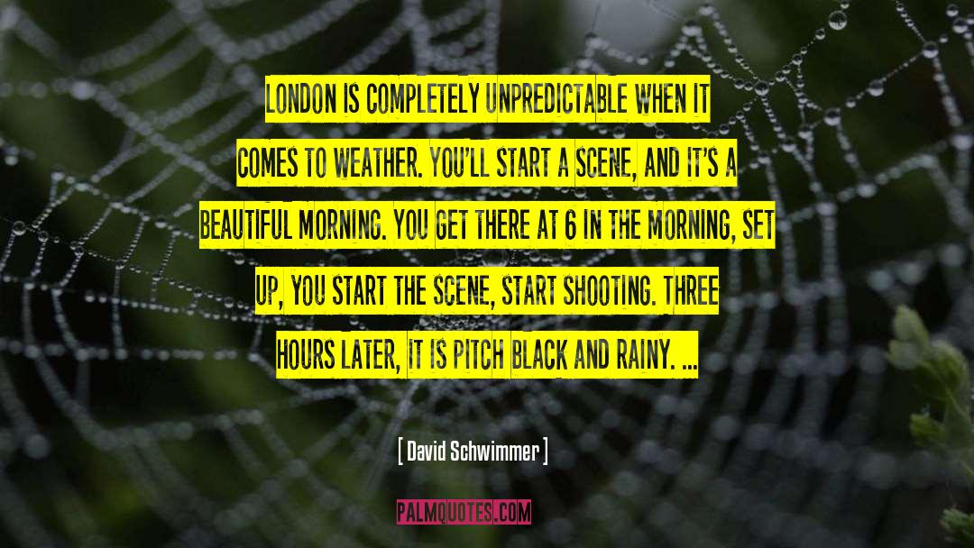 A Beautiful Rainy Day quotes by David Schwimmer