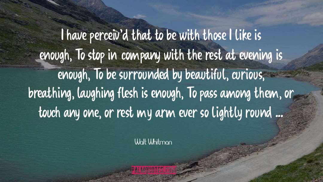A Beautiful Try quotes by Walt Whitman