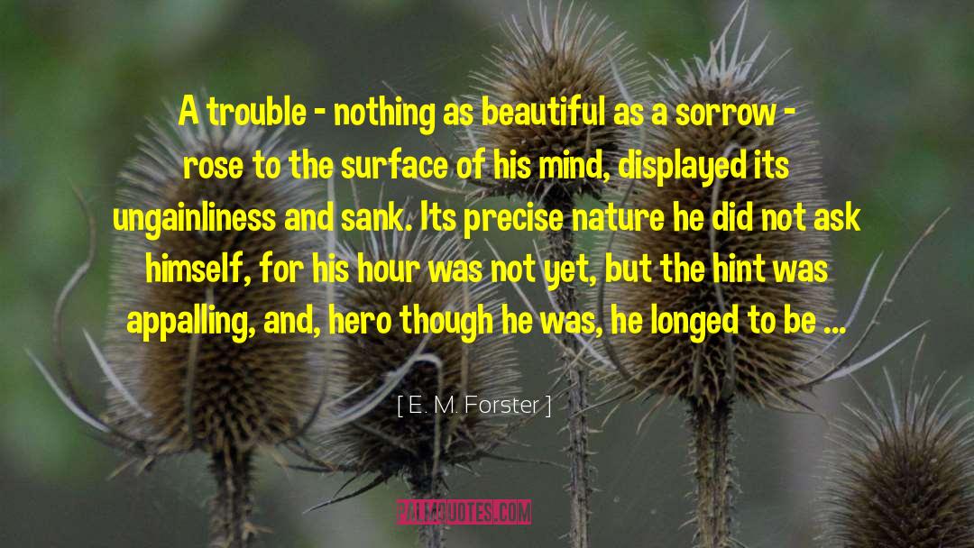 A Beautiful Try quotes by E. M. Forster