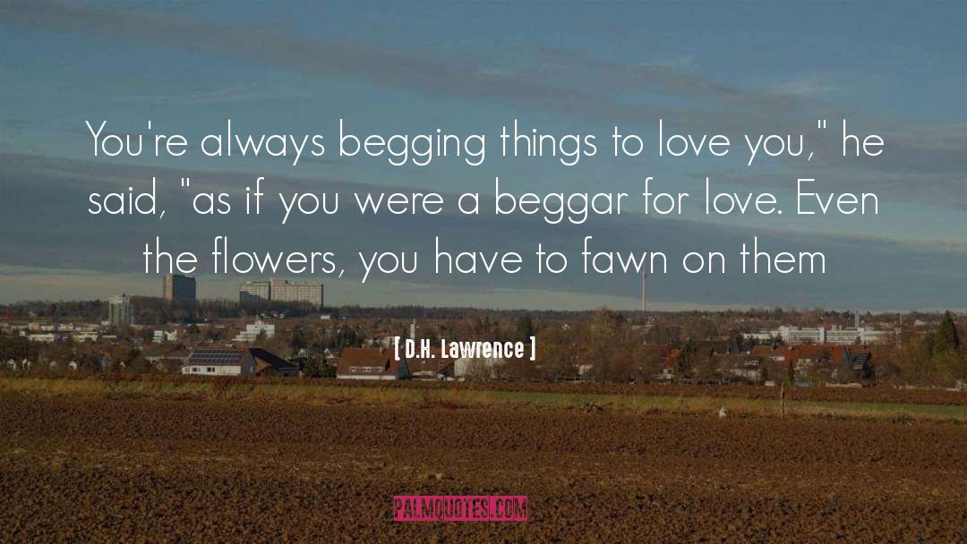 A Beggar quotes by D.H. Lawrence