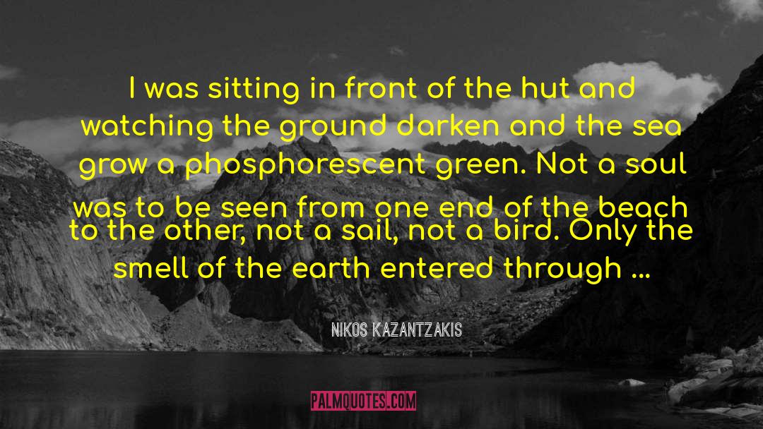 A Beggar quotes by Nikos Kazantzakis