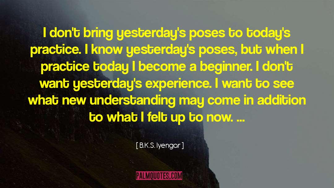 A Beginner S Guide To Mediocrity quotes by B.K.S. Iyengar