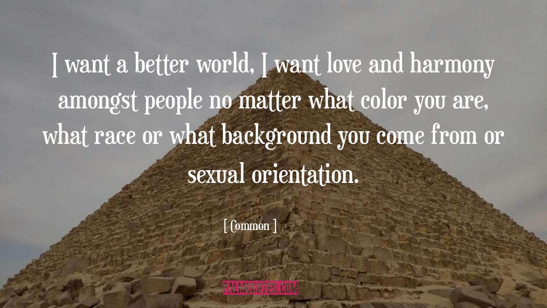 A Better World quotes by Common