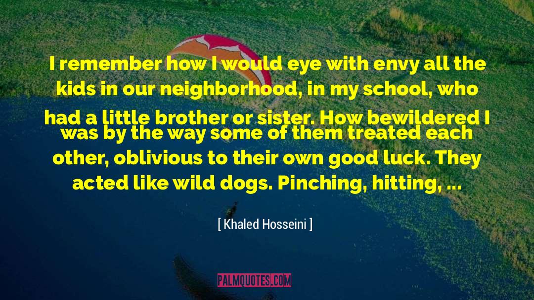 A Big Brother And Little Sister quotes by Khaled Hosseini