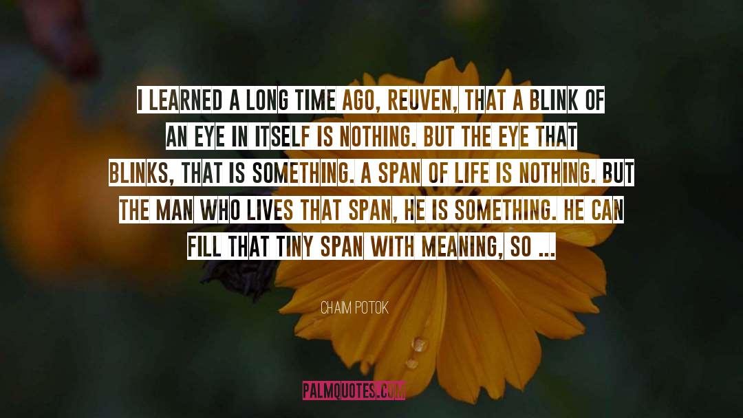A Blink Of An Eye quotes by Chaim Potok