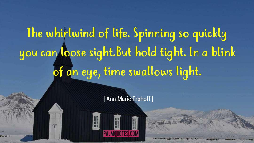 A Blink Of An Eye quotes by Ann Marie Frohoff