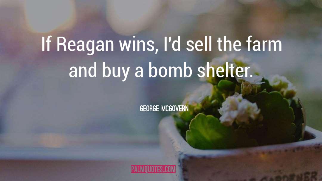 A Bomb quotes by George McGovern