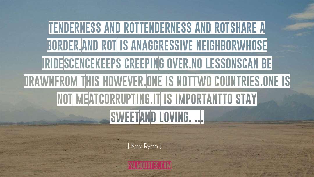 A Border quotes by Kay Ryan