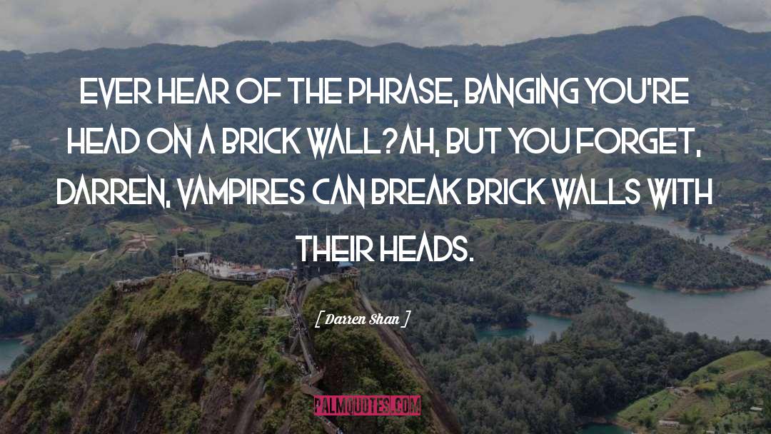 A Brick Wall quotes by Darren Shan