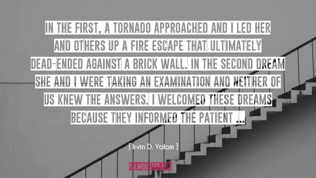 A Brick Wall quotes by Irvin D. Yalom