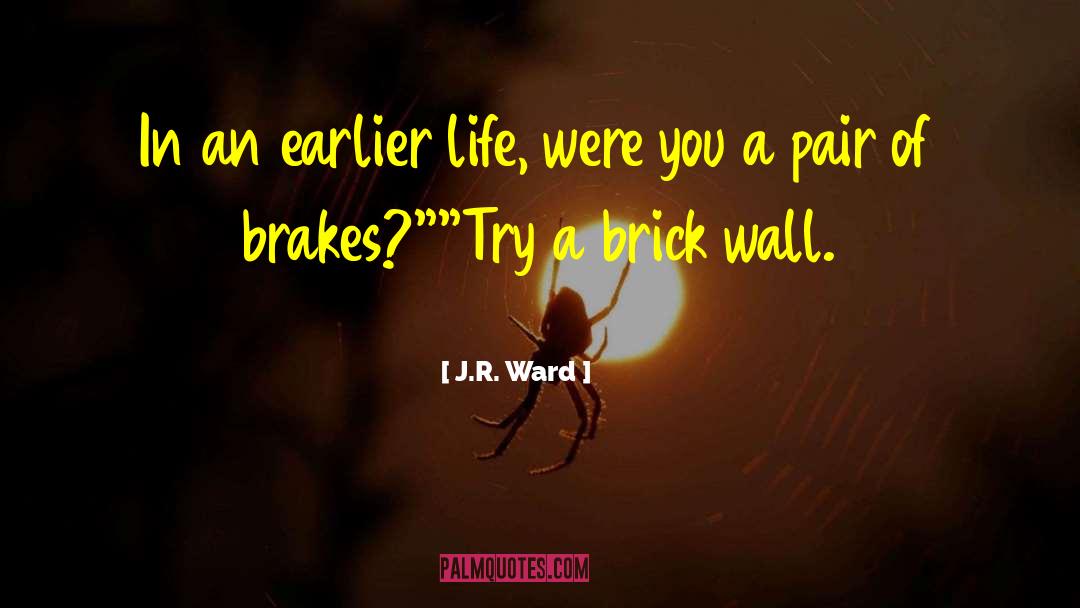 A Brick Wall quotes by J.R. Ward