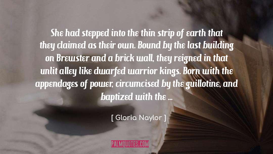 A Brick Wall quotes by Gloria Naylor
