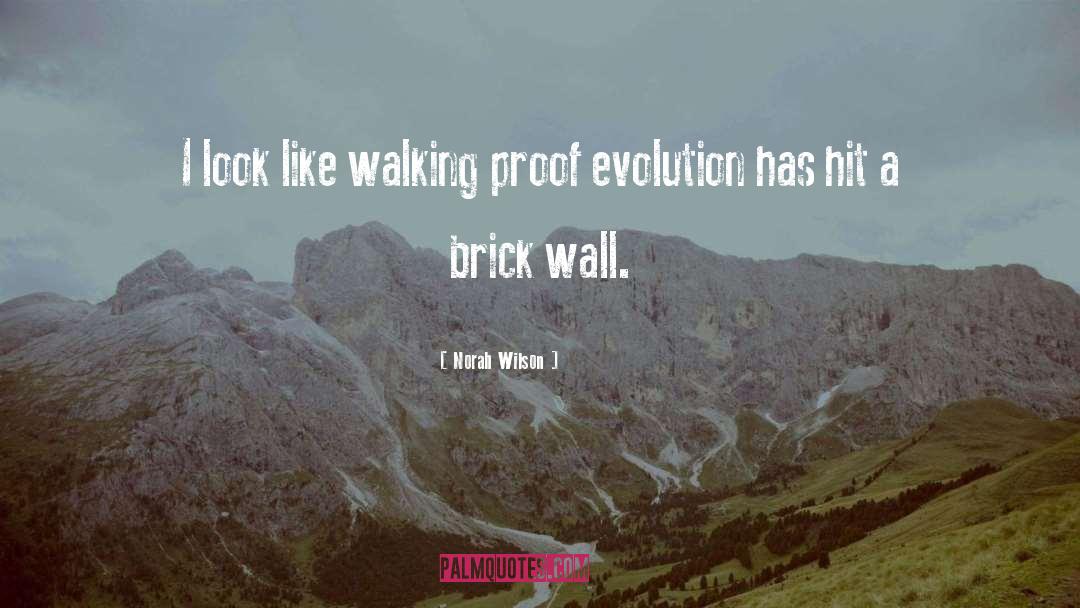 A Brick Wall quotes by Norah Wilson