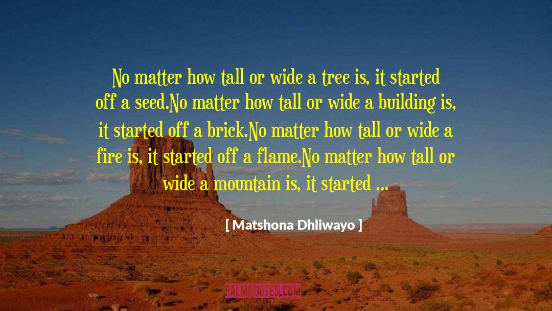 A Brick Wall quotes by Matshona Dhliwayo