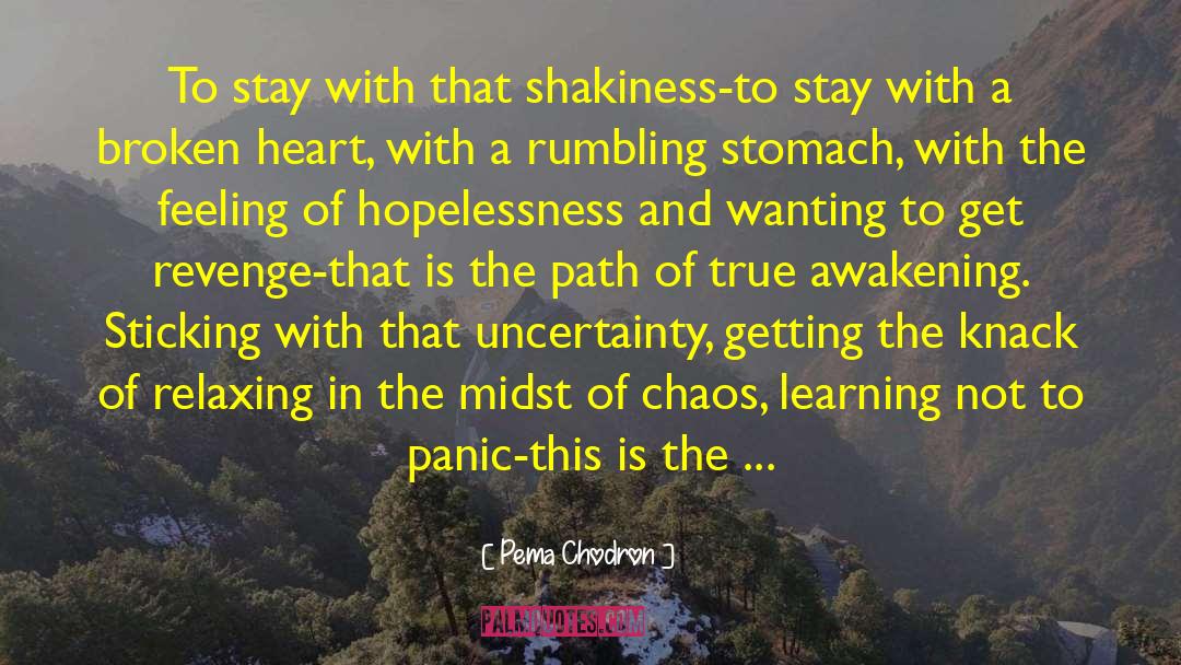 A Broken Heart quotes by Pema Chodron
