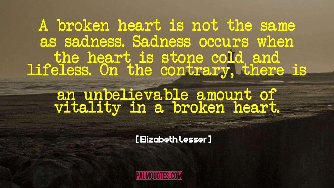 A Broken Heart quotes by Elizabeth Lesser