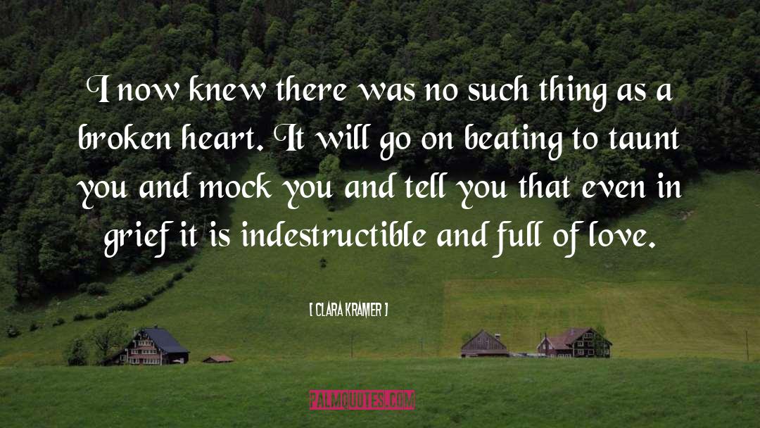 A Broken Heart quotes by Clara Kramer