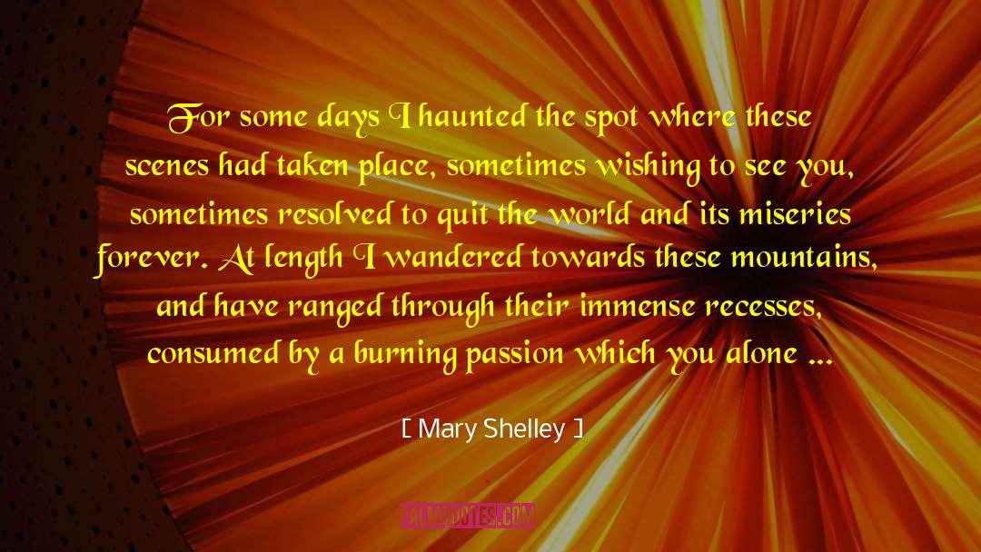 A Burning Reminder quotes by Mary Shelley
