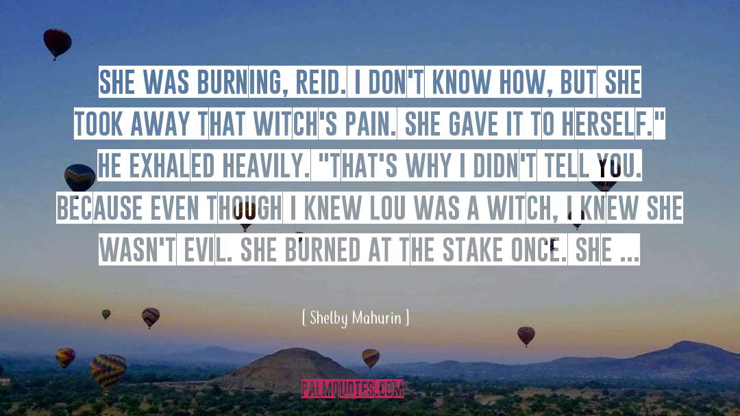 A Burning Reminder quotes by Shelby Mahurin