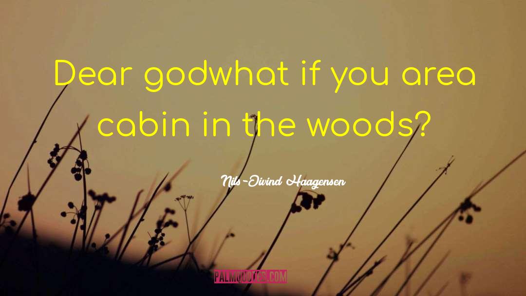 A Cabin In Woods quotes by Nils-Oivind Haagensen